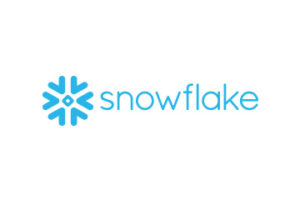 logo-snwoflake